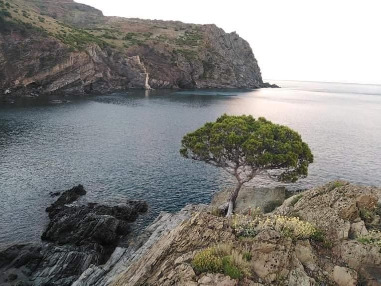Hostal Sant Jordi Tossa de Mar Exteriér fotografie